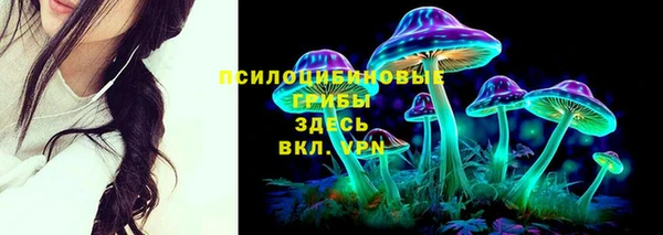 кокс Арсеньев
