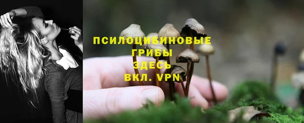а пвп мука Армянск