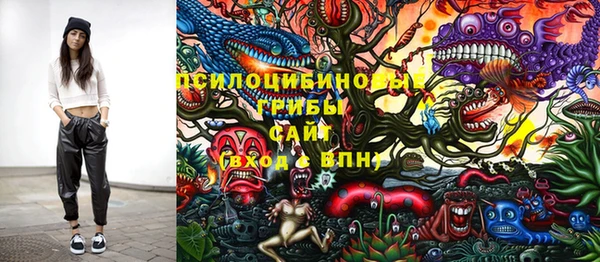 круглые Аркадак